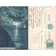 Moonlight at Ilfracombe Pictorial Stationery Co Ltd 1904 postmark Seascape Night